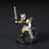 40/60, LE 7, Zhendtarim Fighter, D&D