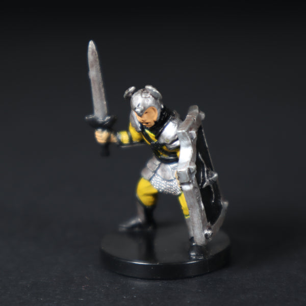 40/60, LE 7, Zhendtarim Fighter, D&D
