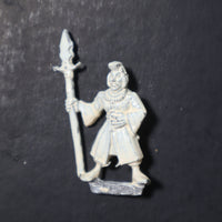 High Elves, Marauder Sea Elf Spearman, MM82