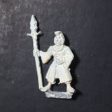 High Elves, Marauder Sea Elf Spearman, MM82