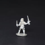 Young Ruffian in Chainmail w/ Sword and Dagger, LL21205, Lance and Laser