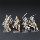 Dark Elves, Corsairs x8