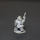 Dwarfs, C06 Northern Dwarf with Spear, Citadel