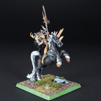 Dark Elves, Morathi on Pegasus (no wings)