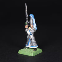 High Elves, Painted Swordmaster, Warhammer Fantasy