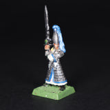 High Elves, Painted Swordmaster, Warhammer Fantasy