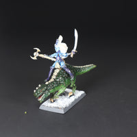 Dark Elves, Mounted Sorceress on Cold One