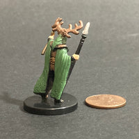 27/60, Any 29, Druid of Obad-Hai D&D