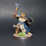 Stormcast Eternals, Sequitors, Pro Painted