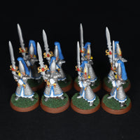 High Elves, Painted Swordmasters x8, Warhammer Fantasy