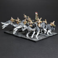 Converted Night Goblin Wolf Rider Archer Unit