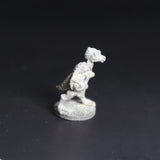 Gloranthia, Dragonewt Scout Slinger, Lance and Lasers