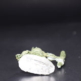 Cave Troll Champion, 02488, Metal, Reaper Miniatures