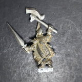 Dark Elves, Corsair, Games Workshop