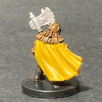 3/60, LG 29, Gold Dwarf Fighter D&D