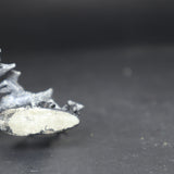Devil Bat, 1507A, Deadlands, Weird West, Pinnacle Miniatures