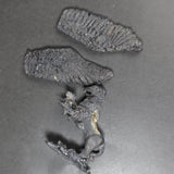Griffon, 1281, Heritage Miniatures