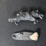 Wolf, Rearing, CM22 (2b), Nick Lund's Chronicle Minatures, Citadel