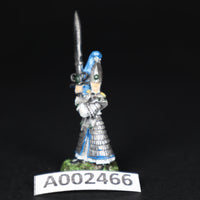 High Elves, Painted Swordmaster, Warhammer Fantasy