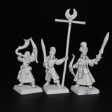 High Elves, Archer Command, Warhammer Fantasy