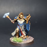 Stormcast Eternals, Sequitors, Pro Painted