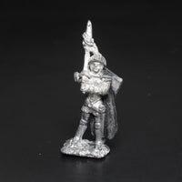Adventurer, Dismounted, 1491 (d), Hero D