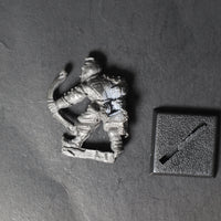 ME Lord of the Rings, Corsair, Citadel