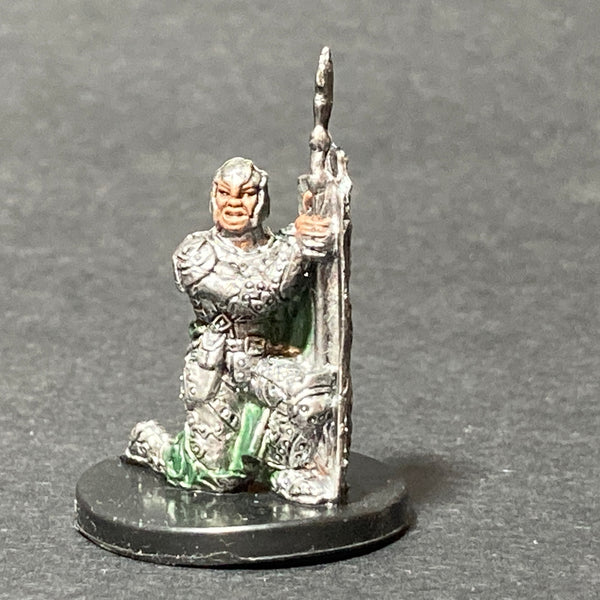 10/60, LG 7, Shieldwall Soldier D&D