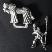 High Elves, Mounted Wizard w/ Staff 3rd Ed.
