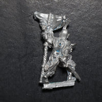 Dark Elves, Standard Bearer, Marauder, Citadel, Damaged