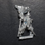 Dark Elves, Standard Bearer, Marauder, Citadel, Damaged
