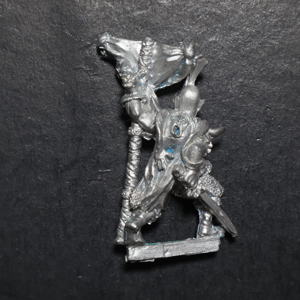 Dark Elves, Standard Bearer, Marauder, Citadel, Damaged
