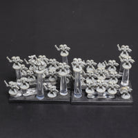 Epic, Space Marines, Assault Marines, Librarian