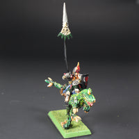 Dark Elves, Cold One Knight Standard Bearer