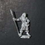 High Elves, Marauder Sea Elf Spearman, MM82