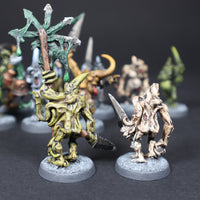 x10 Painted Chaos Nurgle Plaguebearers, Unit