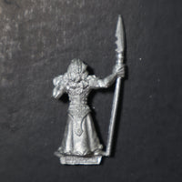 High Elves, Marauder Elf Spearman, MM82