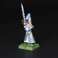 High Elves, Painted Swordmaster, Warhammer Fantasy