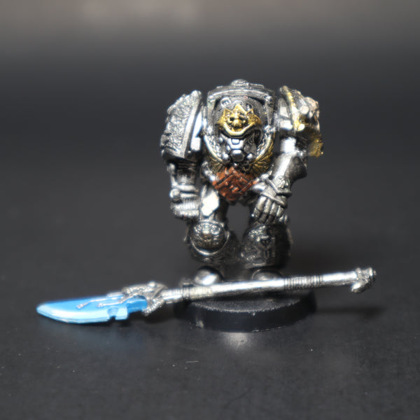 Space Marines, Grey Knight Terminator, Rogue Trader