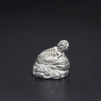 Grub on a Rock, 8004h-1, Action Art, Fantasy Fiends