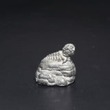 Grub on a Rock, 8004h-1, Action Art, Fantasy Fiends