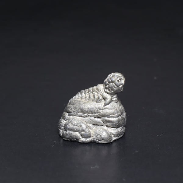 Grub on a Rock, 8004h-1, Action Art, Fantasy Fiends