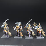 Dark Elves, Corsairs x8