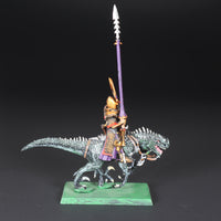 Dark Elves, Cold One Knights, Drake Spawn