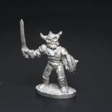 Fighter with Sword, 5301 (i), AD&D