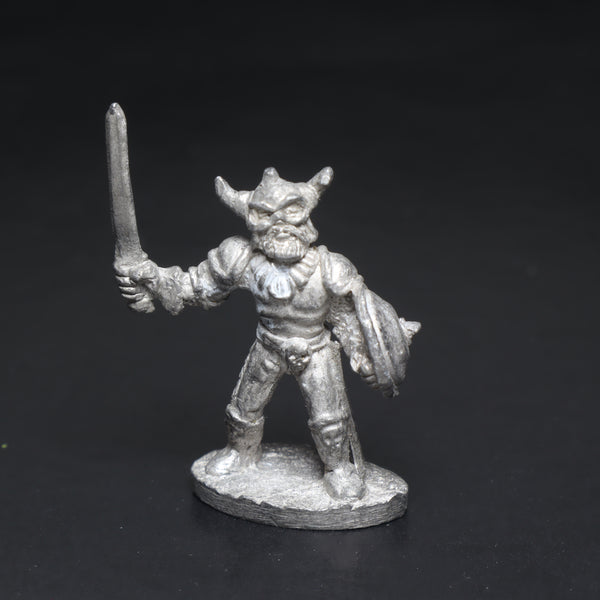 Fighter with Sword, 5301 (i), AD&D