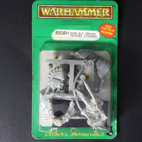 High Elves, Dragon Prince Standard Blister