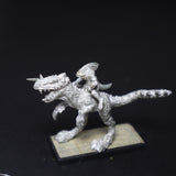 Lizardmen, Cold One Rider, Metal, Games Workshop