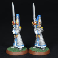 High Elves, Painted Swordmasters x8, Warhammer Fantasy