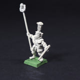 Empire, Reiksguard on Foot, Standard Bearer